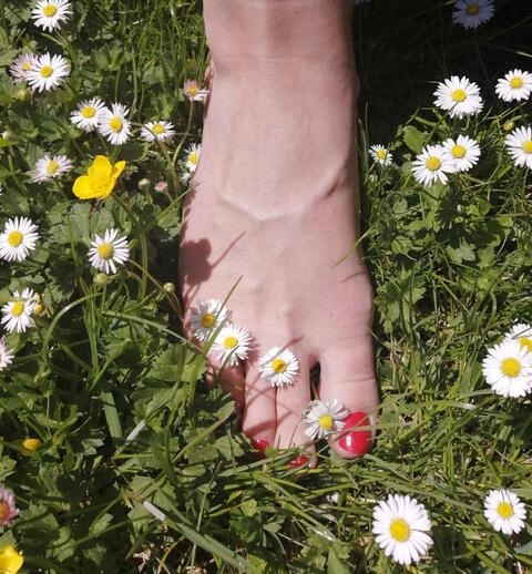 Sweet_Feet