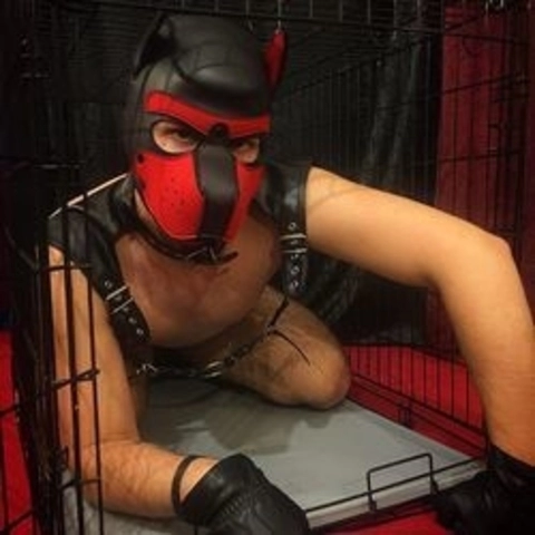 Hellhoundpupper OnlyFans Picture