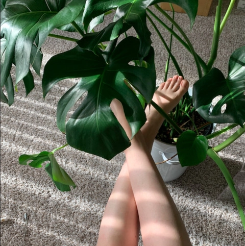 Barbzorrr’s Feet OnlyFans Picture