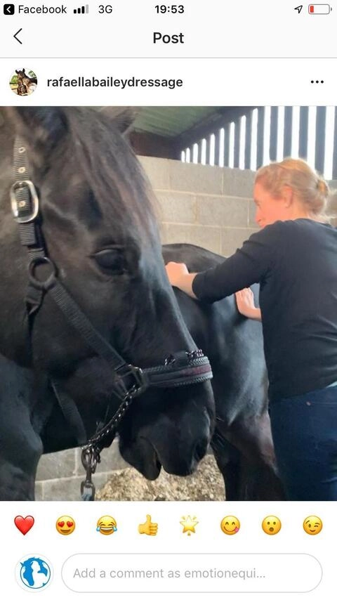 Equine Massage OnlyFans Picture