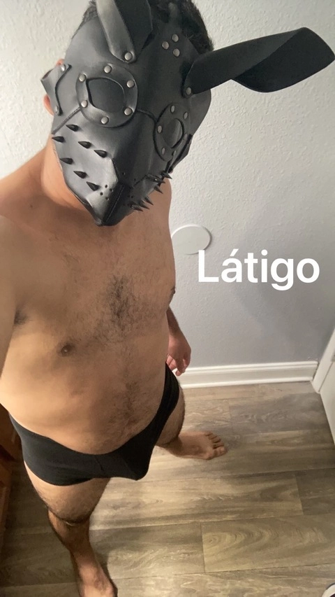 Látigo OnlyFans Picture