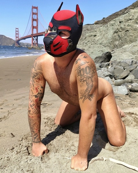 Pup Ruffy OnlyFans Picture
