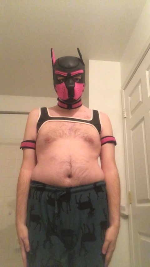 Pup Cobalt OnlyFans Picture