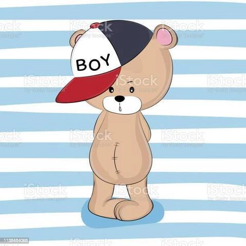 Bearboy27