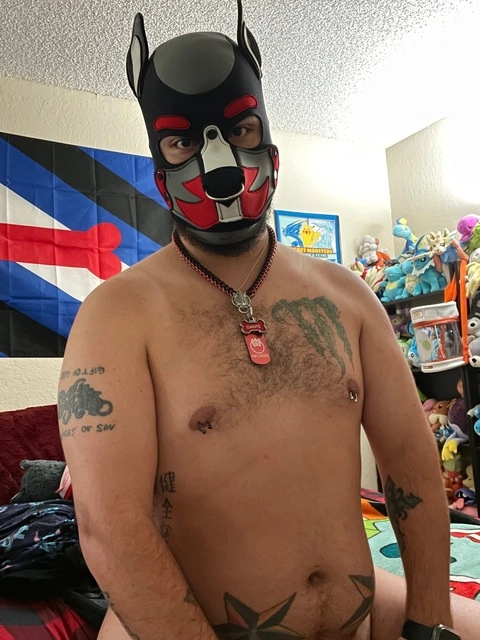 Pup Danté OnlyFans Picture