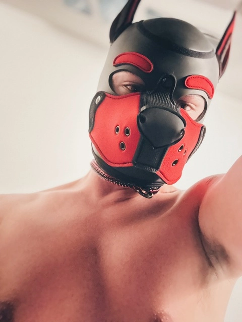 Pup Bandit OnlyFans Picture