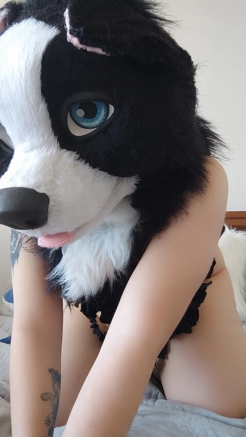 Naughty collie OnlyFans Picture