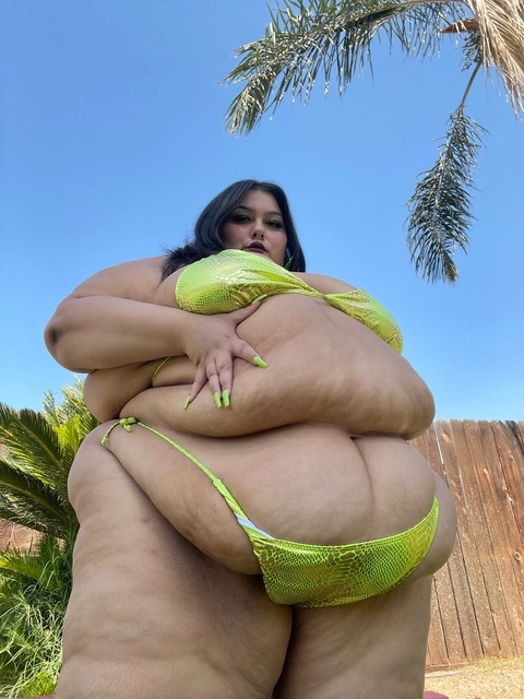 SSBBWLEIGHTON OnlyFans Picture