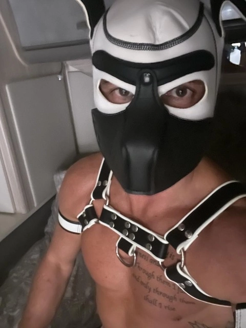 Puppy biboy OnlyFans Picture