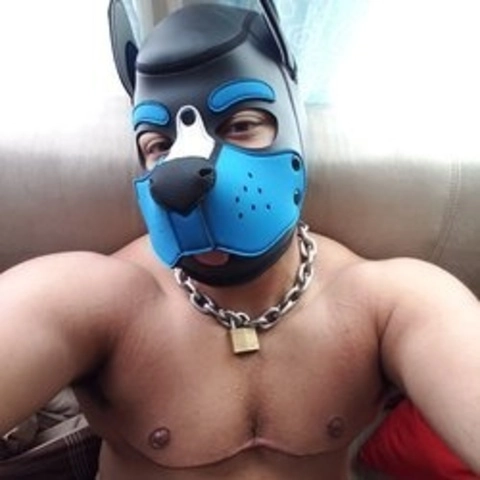 PuppoMax OnlyFans Picture
