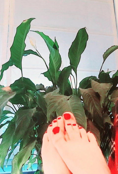 Wow Much Wow Feet OnlyFans Picture