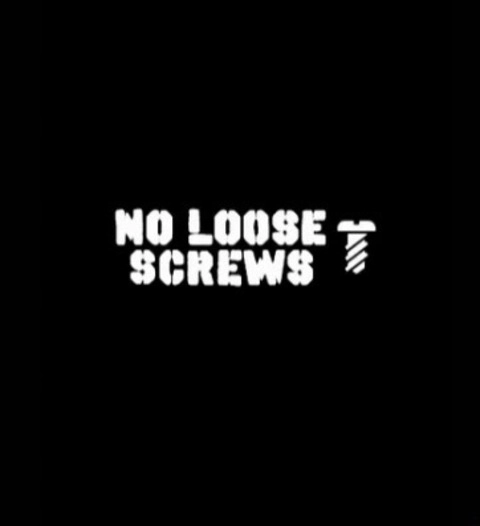 NoLooseScrews