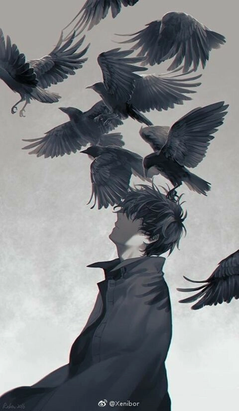 shadowofthecrow