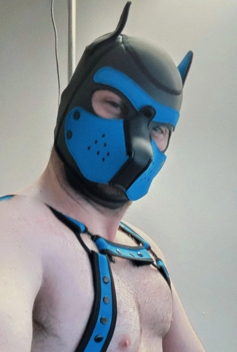 Pup fiction OnlyFans Picture