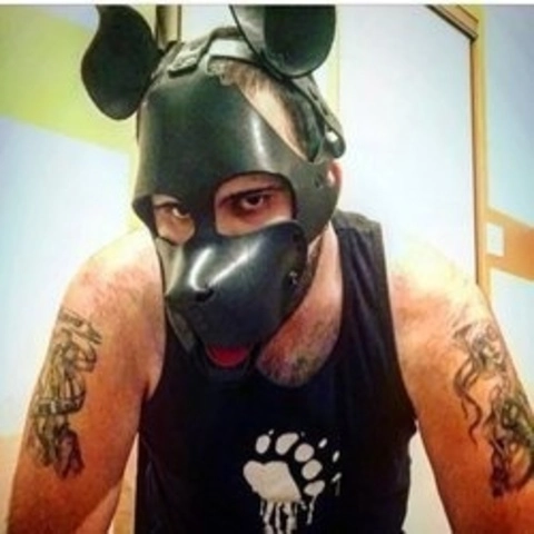 pup bandeto OnlyFans Picture