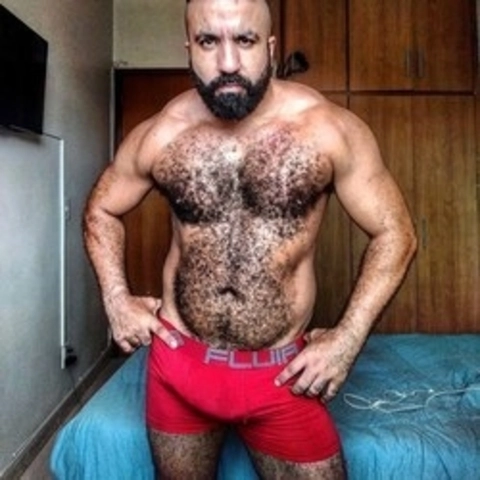 Musclebearbrazil OnlyFans Picture