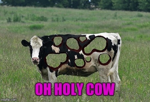 URHOLYCOW