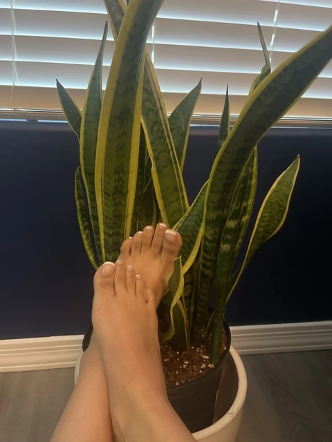 Toe-Licious ????? OnlyFans Picture