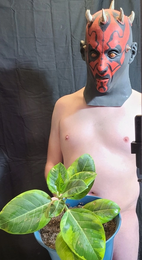 Ggdarth OnlyFans Picture