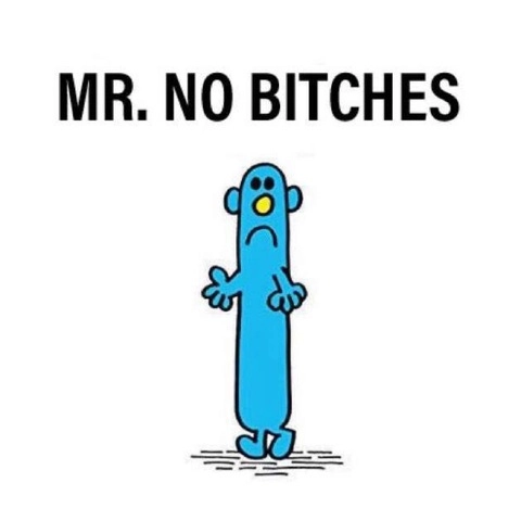 Mr. No Bitches