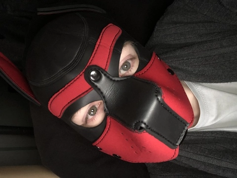 Leather Pup Lurz