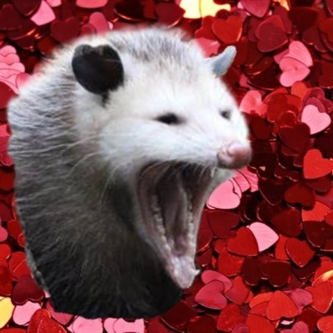 Daddy Opossum