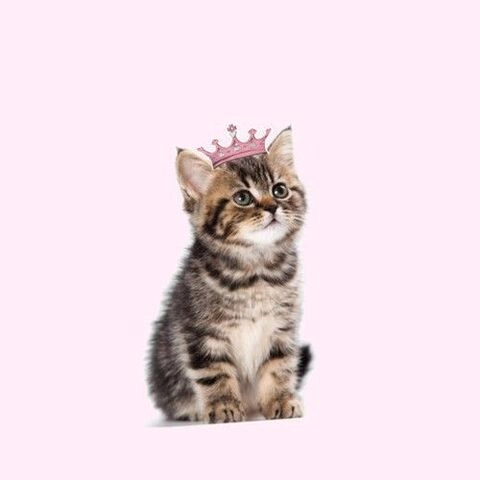 Chibi Kitty Queen