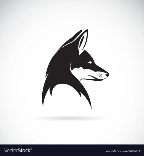 FoxBetMentor 🦊