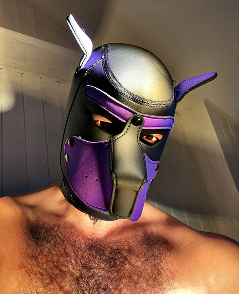 Hot Purple Puppy