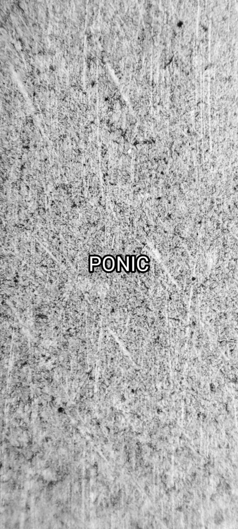 Ponic