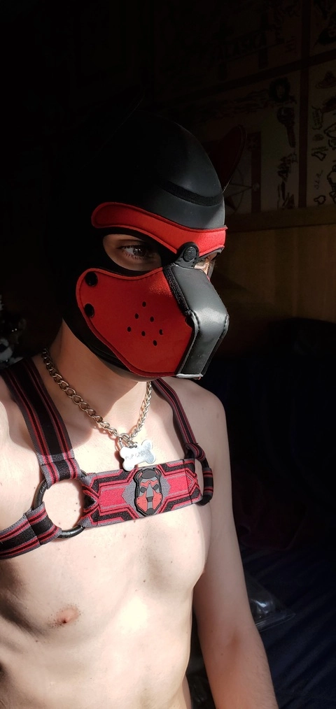 Pup Crixus OnlyFans Picture