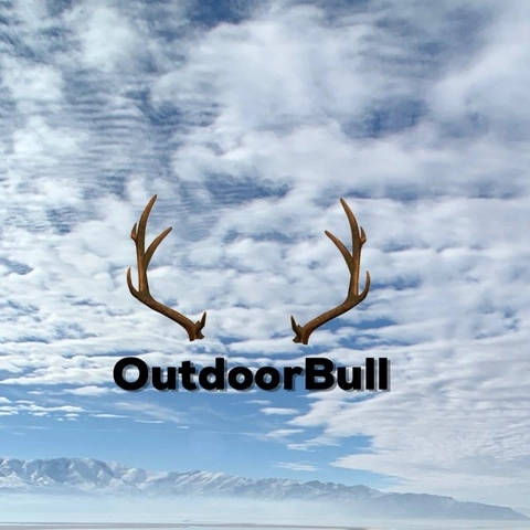 Outdoor Bull