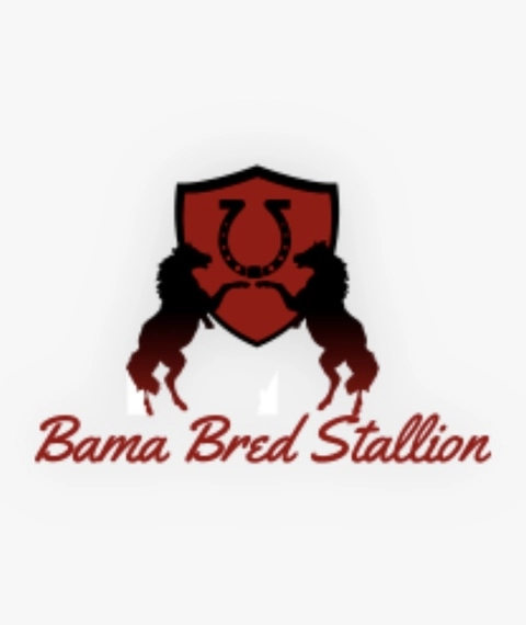 Bamabredstallion