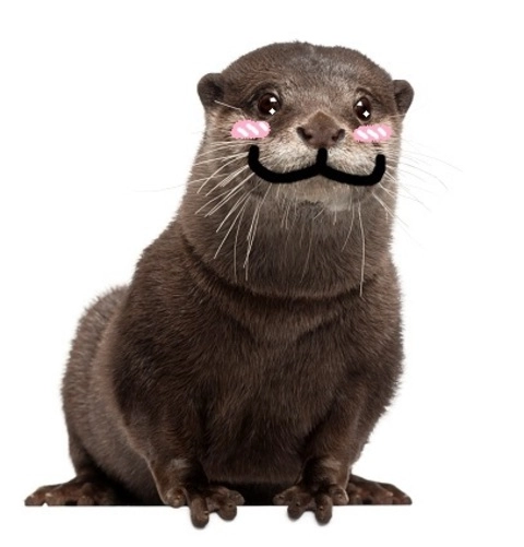 OtterBooty