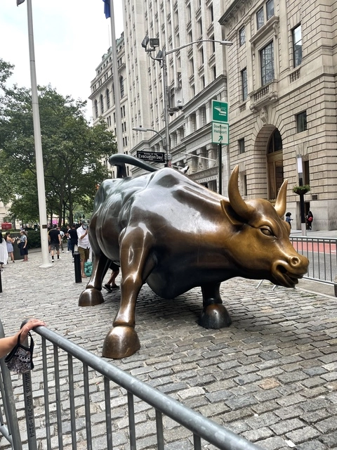 Wall Street Bully