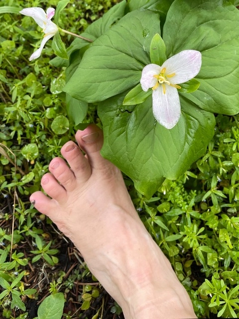 Trail Toes