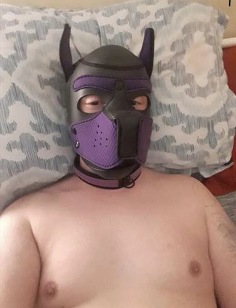 Pup Nico OnlyFans Picture