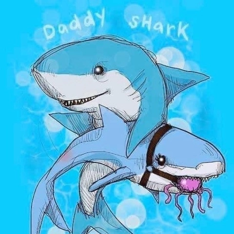 Shark