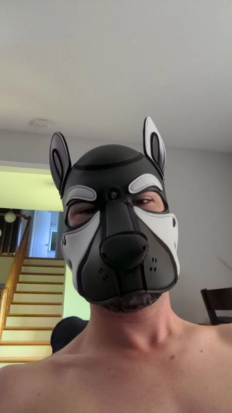 Pup Ket OnlyFans Picture