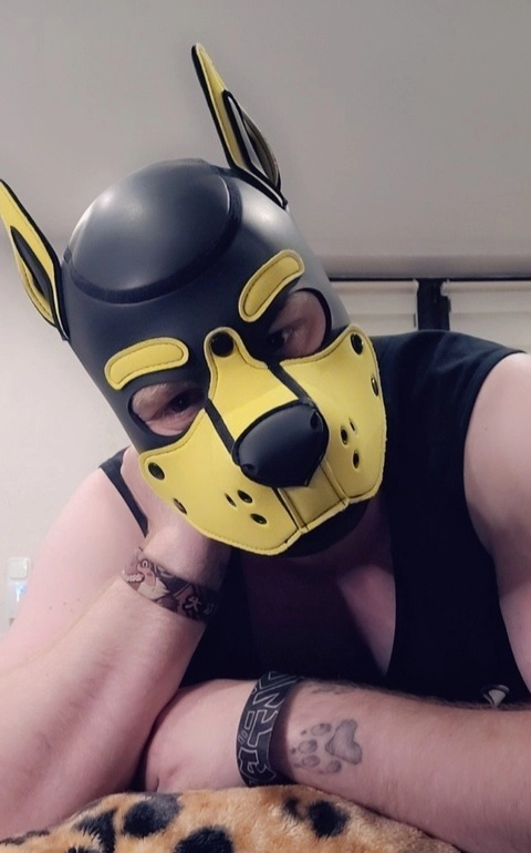 RoxThePup OnlyFans Picture