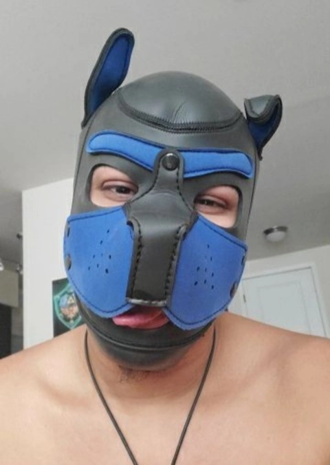 Pup Gaymer OnlyFans Picture