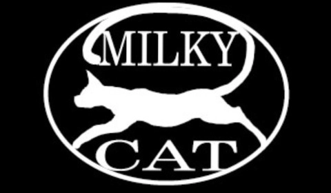 milky-cat