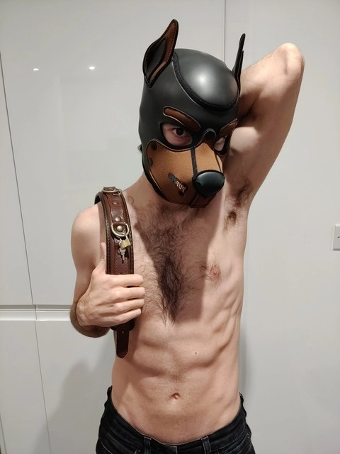 Pup Herme OnlyFans Picture