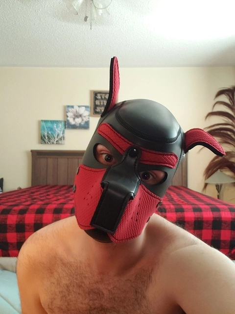 Pupster D OnlyFans Picture