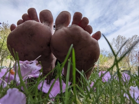 LiLi's Pretty Feet OnlyFans Picture