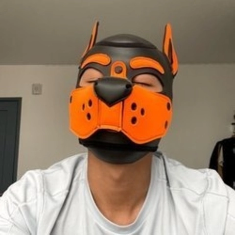 Pup Rawuu OnlyFans Picture