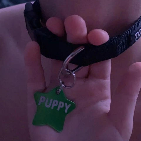 Jake da Puppy